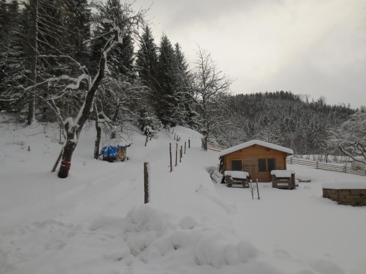 Landhaus Ziegelstadel Windischgarsten Extérieur photo