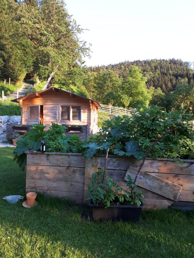 Landhaus Ziegelstadel Windischgarsten Extérieur photo